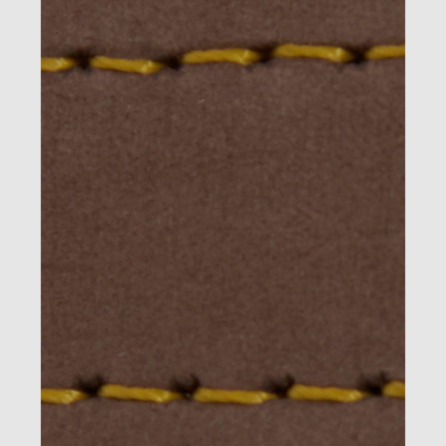 Barbour Hundeleine aus Leder