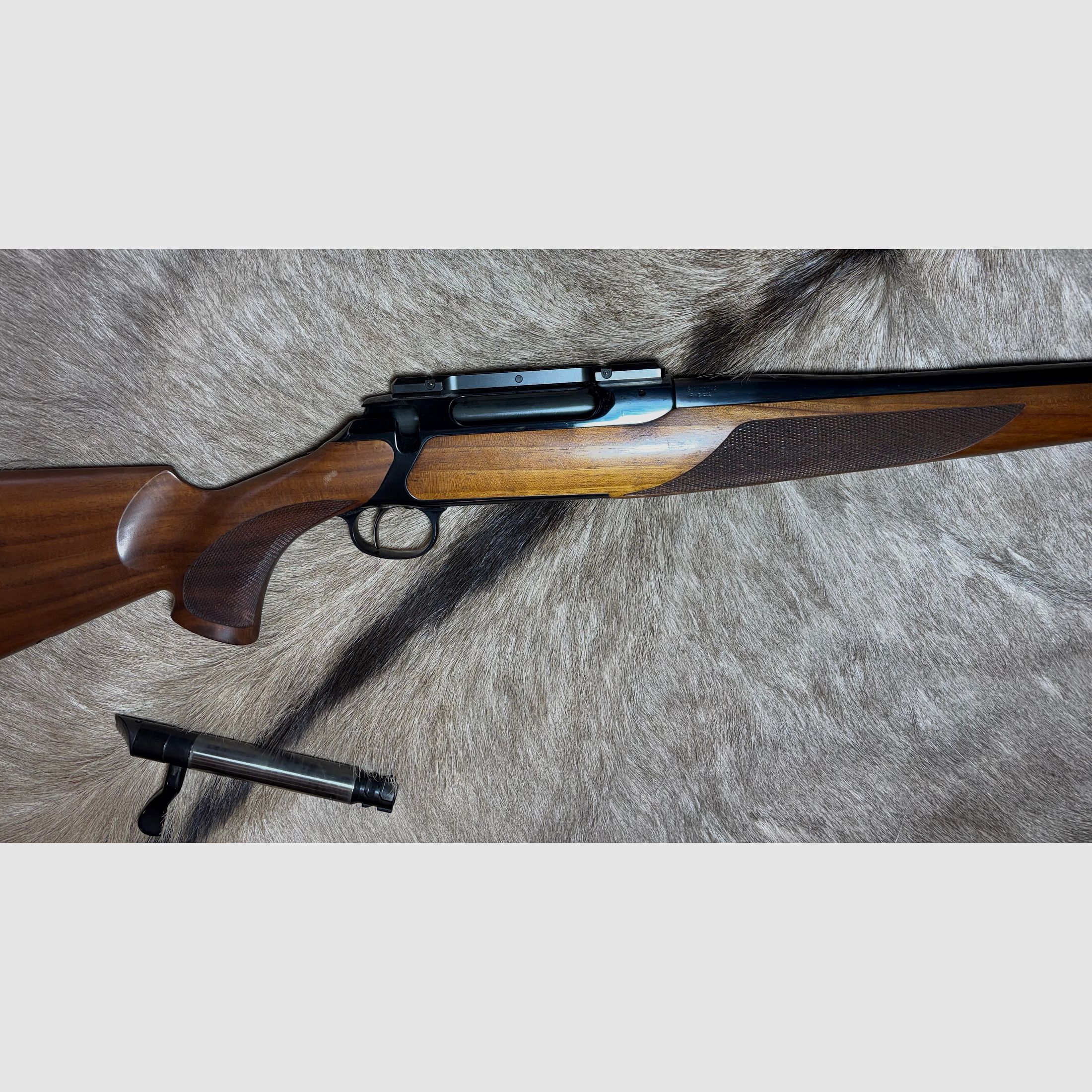 Sauer 202 .300 WinMag Elegance