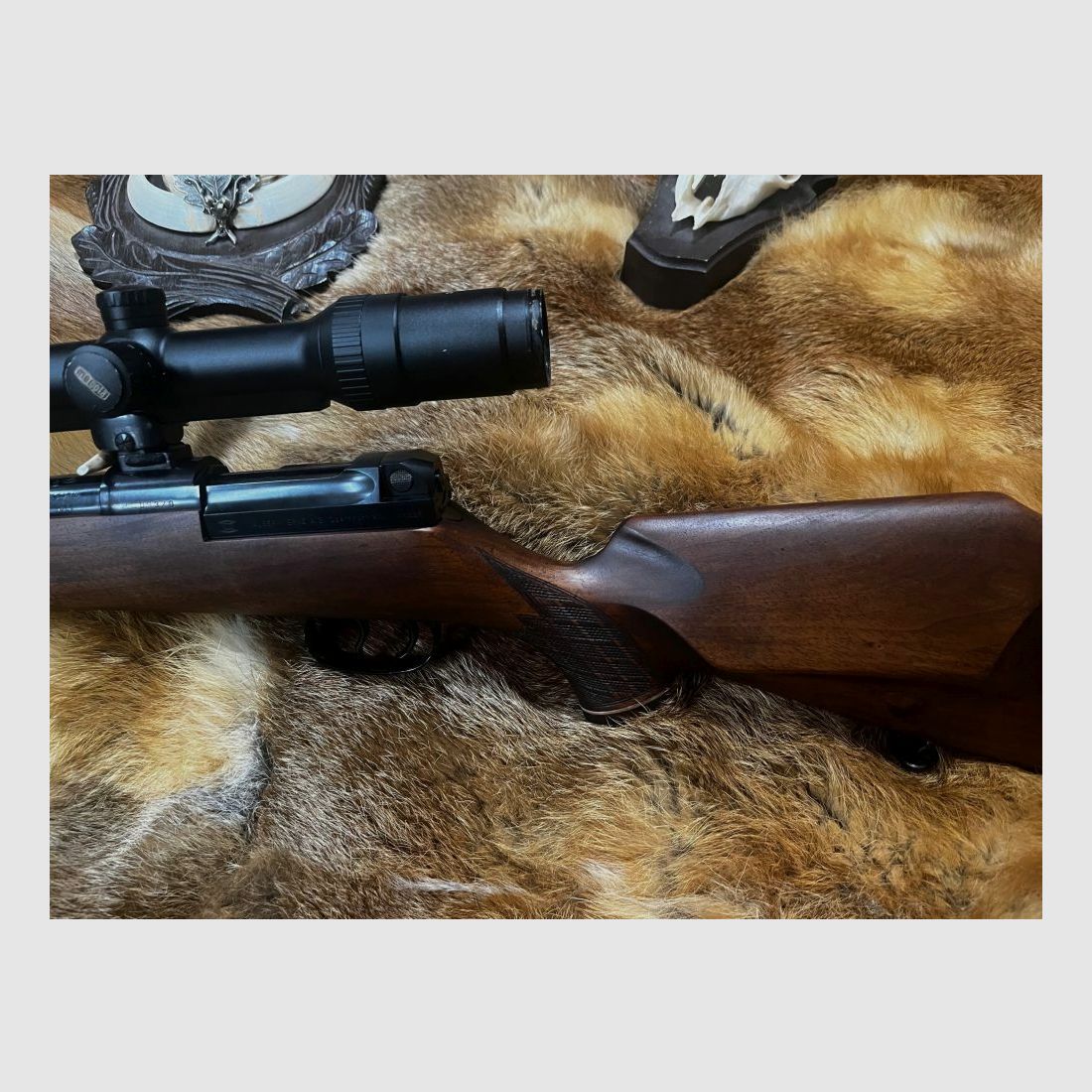 Mauser 66