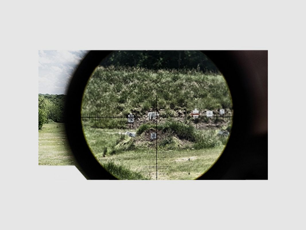 Zielfernrohr BUSHNELL ELITE TACTICAL DMR3 3.5-21x50 FFP G4P, Bild 12 von 12