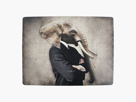Lovergreen Kunst des Tisches Motiv bekleideter Elefant Tischset x 4