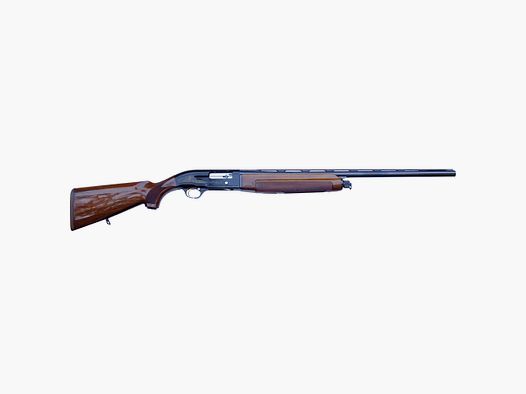 Beretta a303