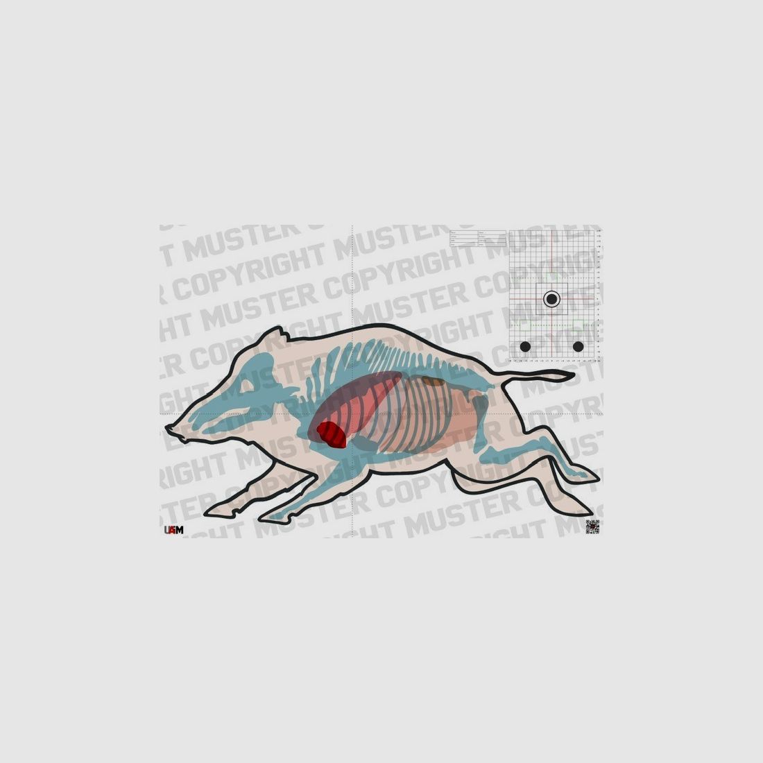 Obiettivo anatomia cinghiale "Cinghiale in fuga" DIN A1 Obiettivo dettagliato per ...