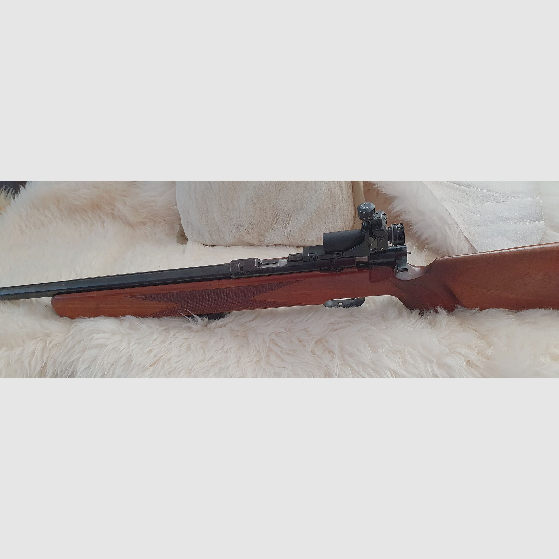 KK Anschütz sports shooting rifle .22 and SP Walther