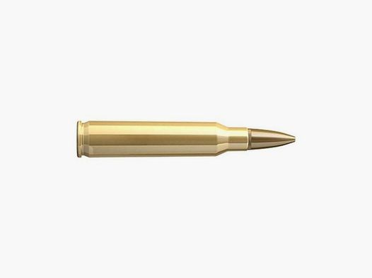 Cartouches 223 Rem 55 grains FMJ x 100 Sellier & Bellot