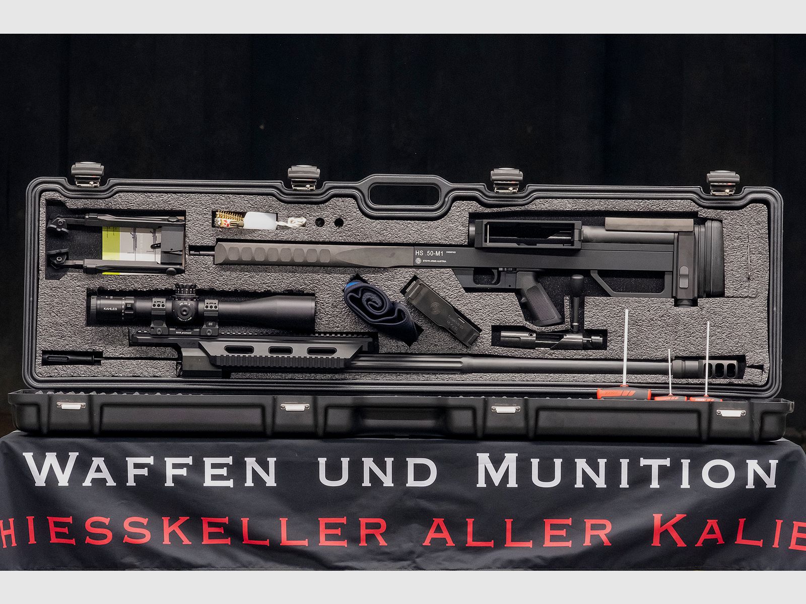 Steyr HS .50 M1, Bild 1 von 10