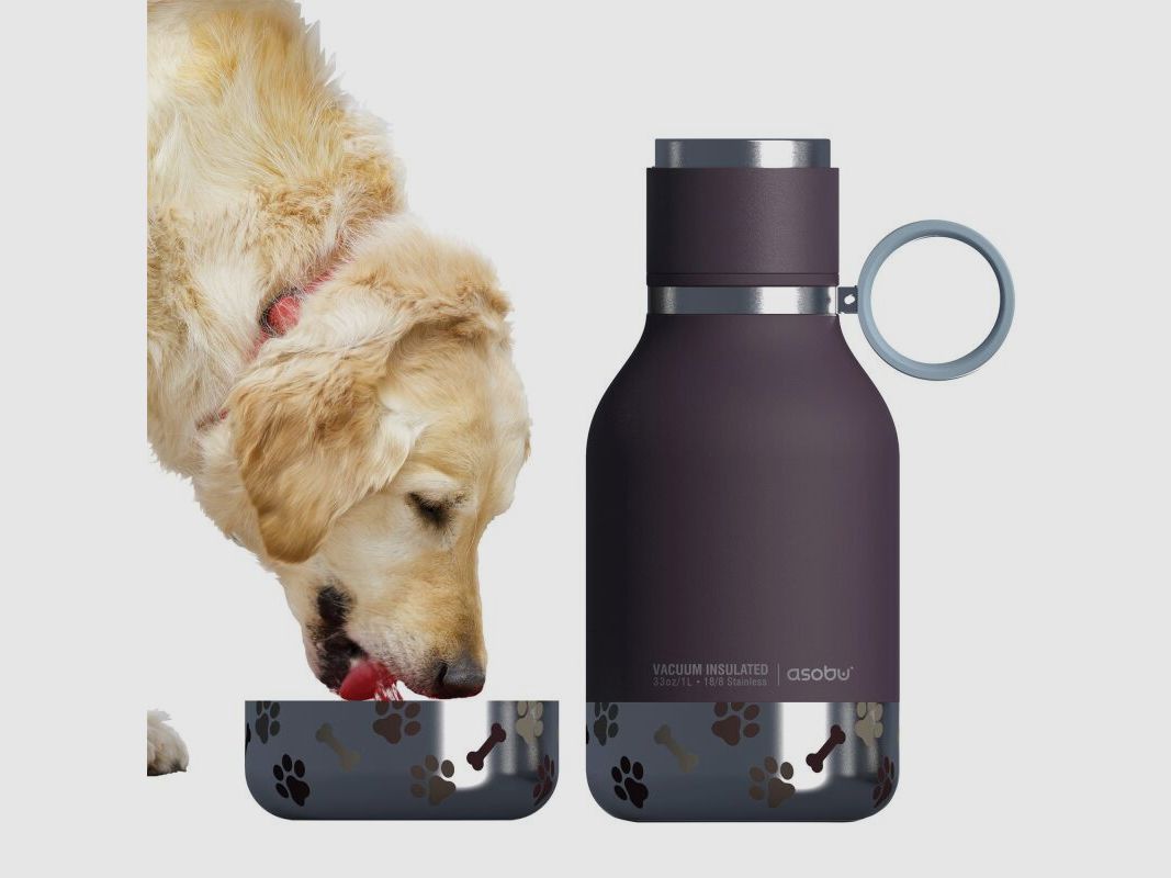 Asobu - Dog Bowl - Edelstahlflasche mit Hundenapf 1 Liter Burgunderrot