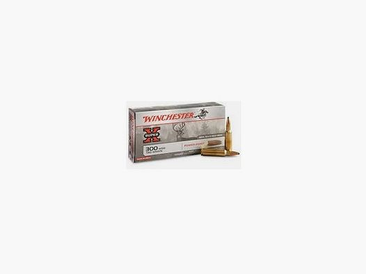 Winchester kogelpatroon voor geweer kal. 300 WSM Super X Power Point