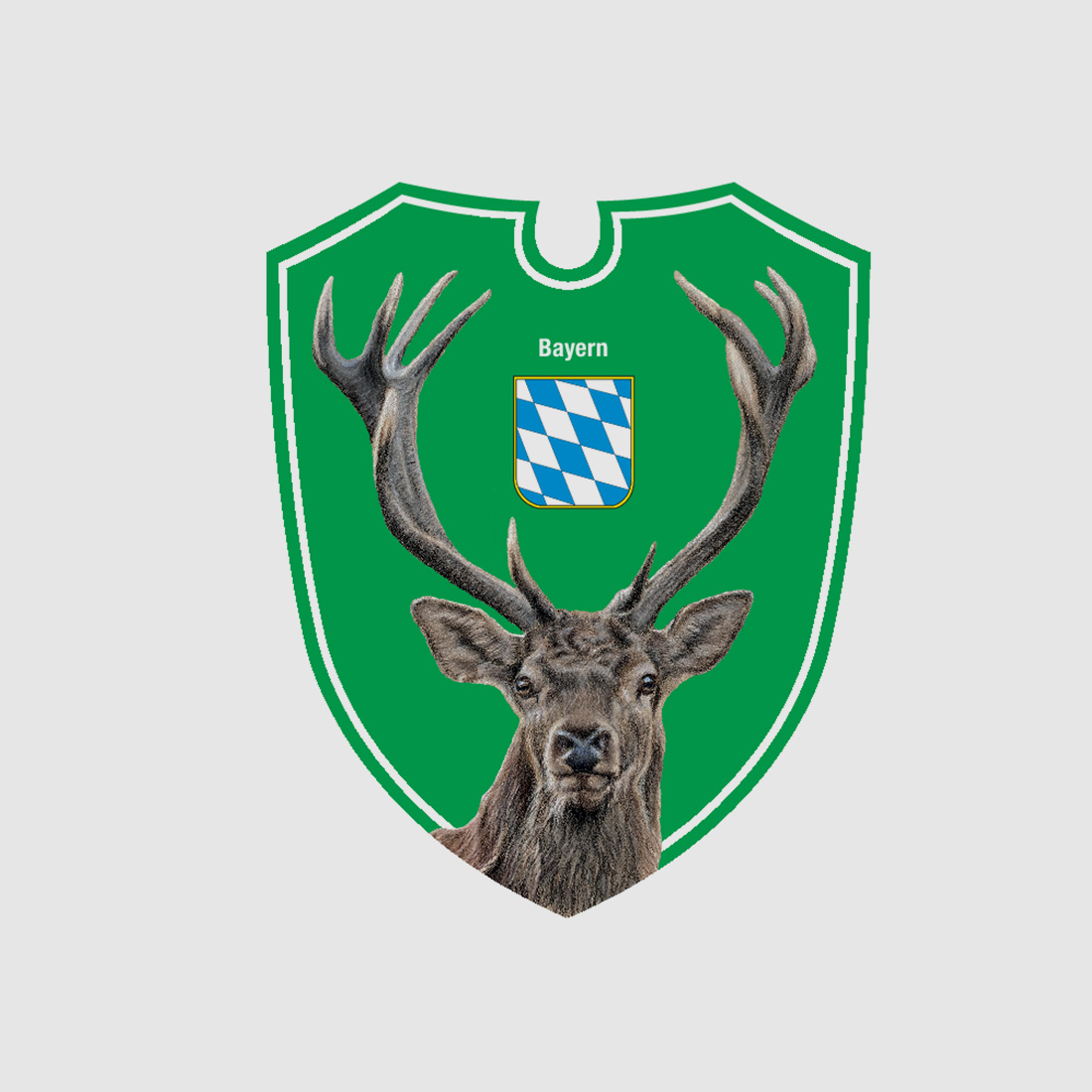 Panneaux de chasse auto à double optique blason d'état