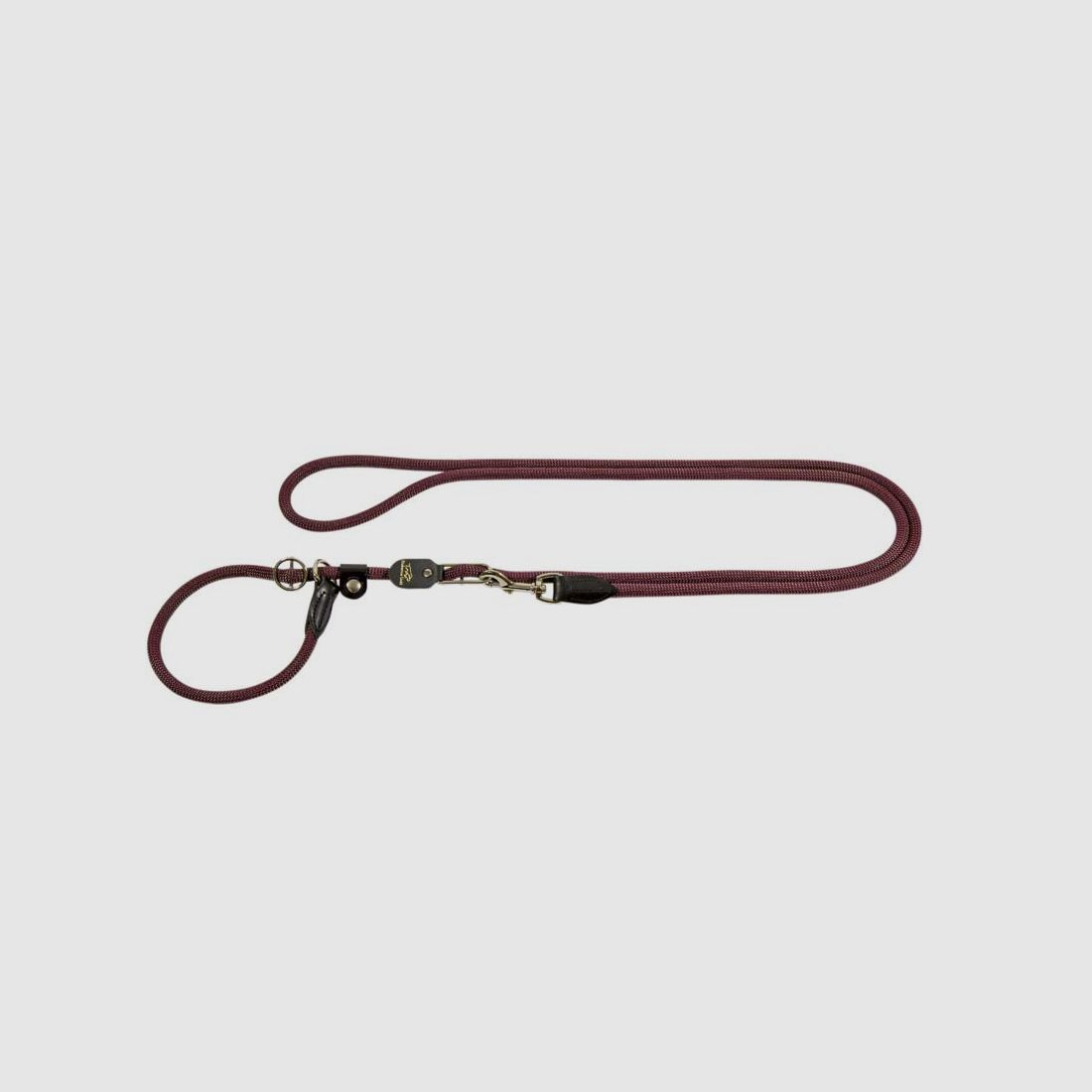 Laisse pour Chien Hubertus Gold