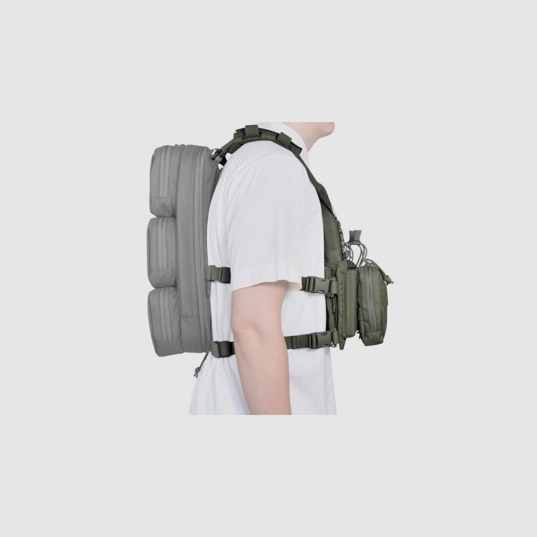 TASMANIAN TIGER Gürtel Modular Chest Rig 4xM4 olive