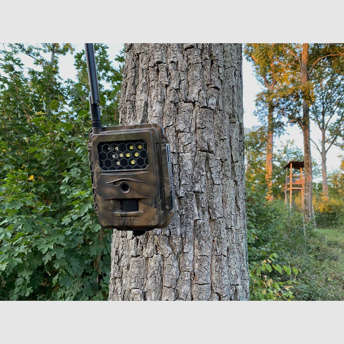 Seissiger Special-Cam LTE Weißblitz Super-SIM Edition