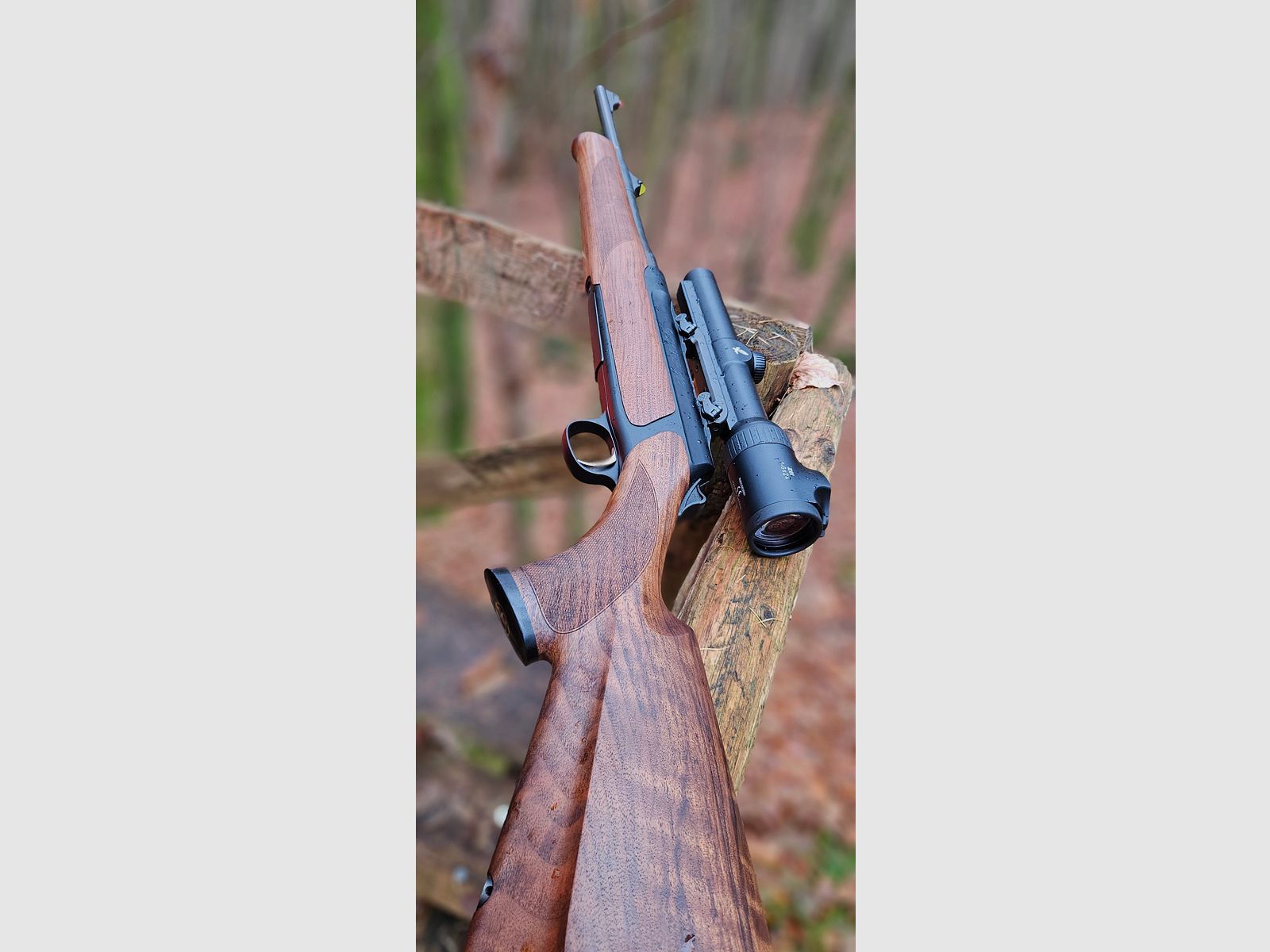 Sauer 303 Classic .30-06 mit Swarovski Z6i 1-6x24 SR & Sauer-Montage