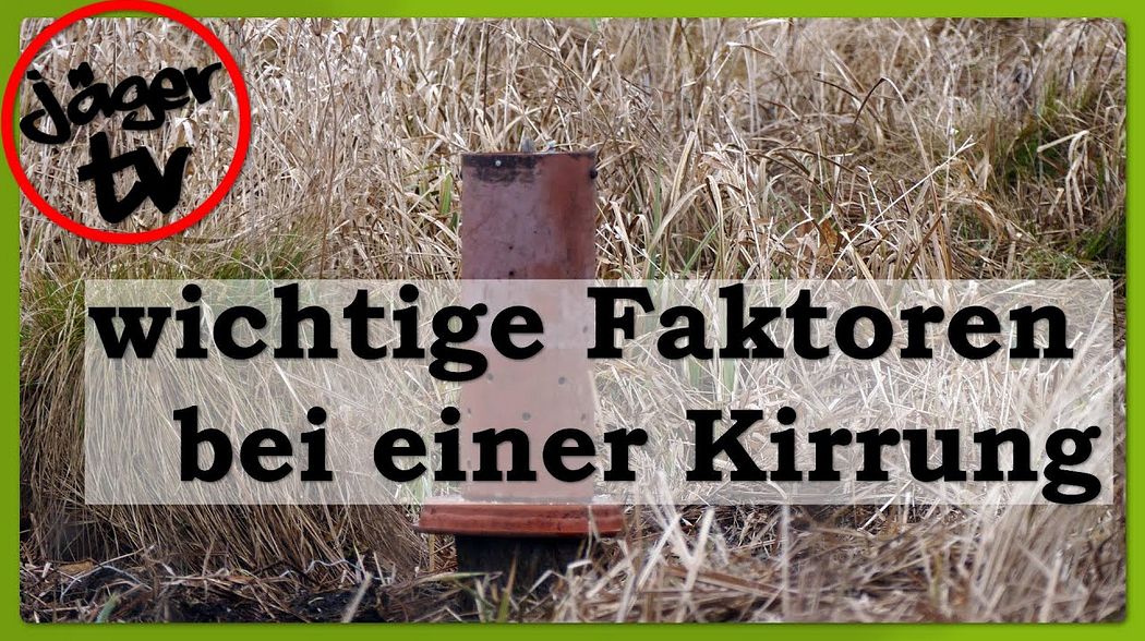 wichtige Faktoren bei einer Kirrung