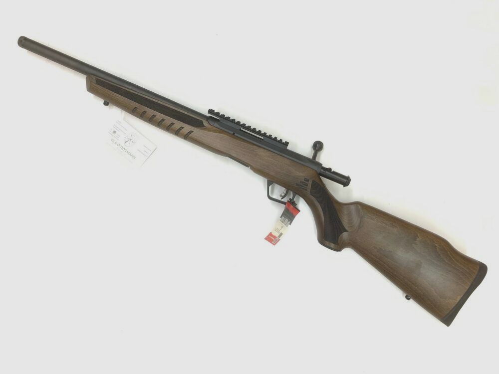 Savage B22 .22lr