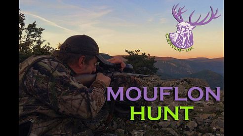 MOUFLON HUNT: THE FRENCH ALPS