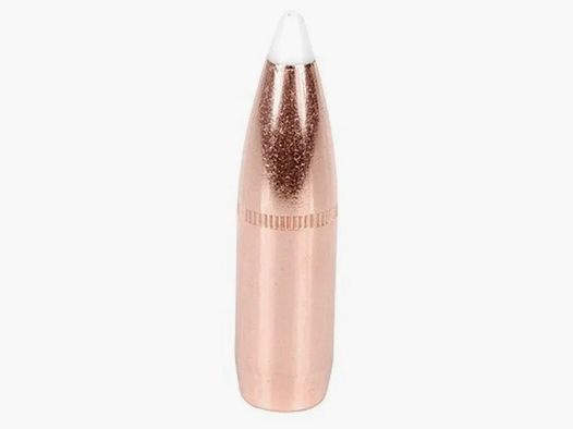 Proiettile Nosler Accubond .375/.375 300GR Spitzer 50 pezzi