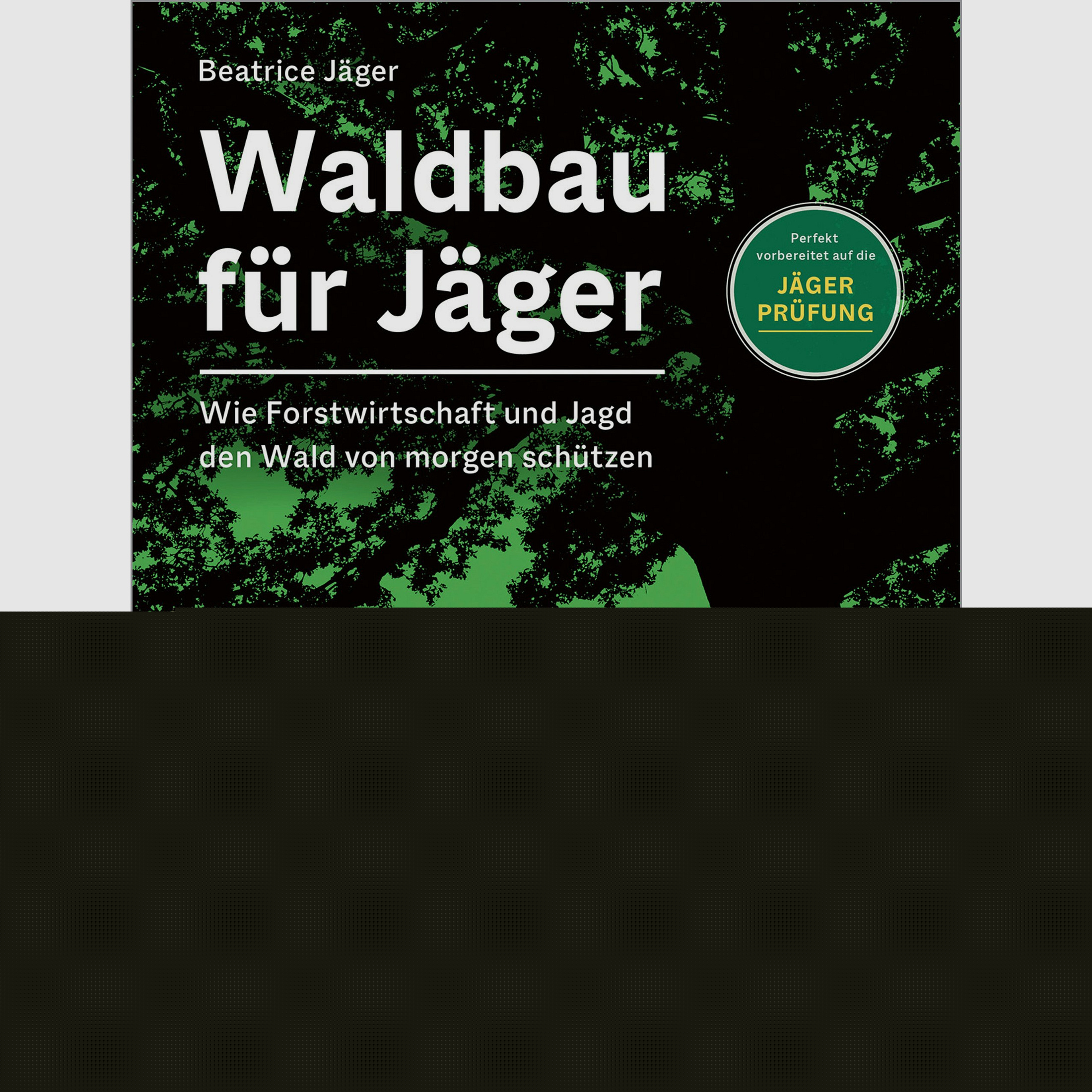 Forestry for Hunters - How Forestry and Hunting Protect the Forest of Tomorrow