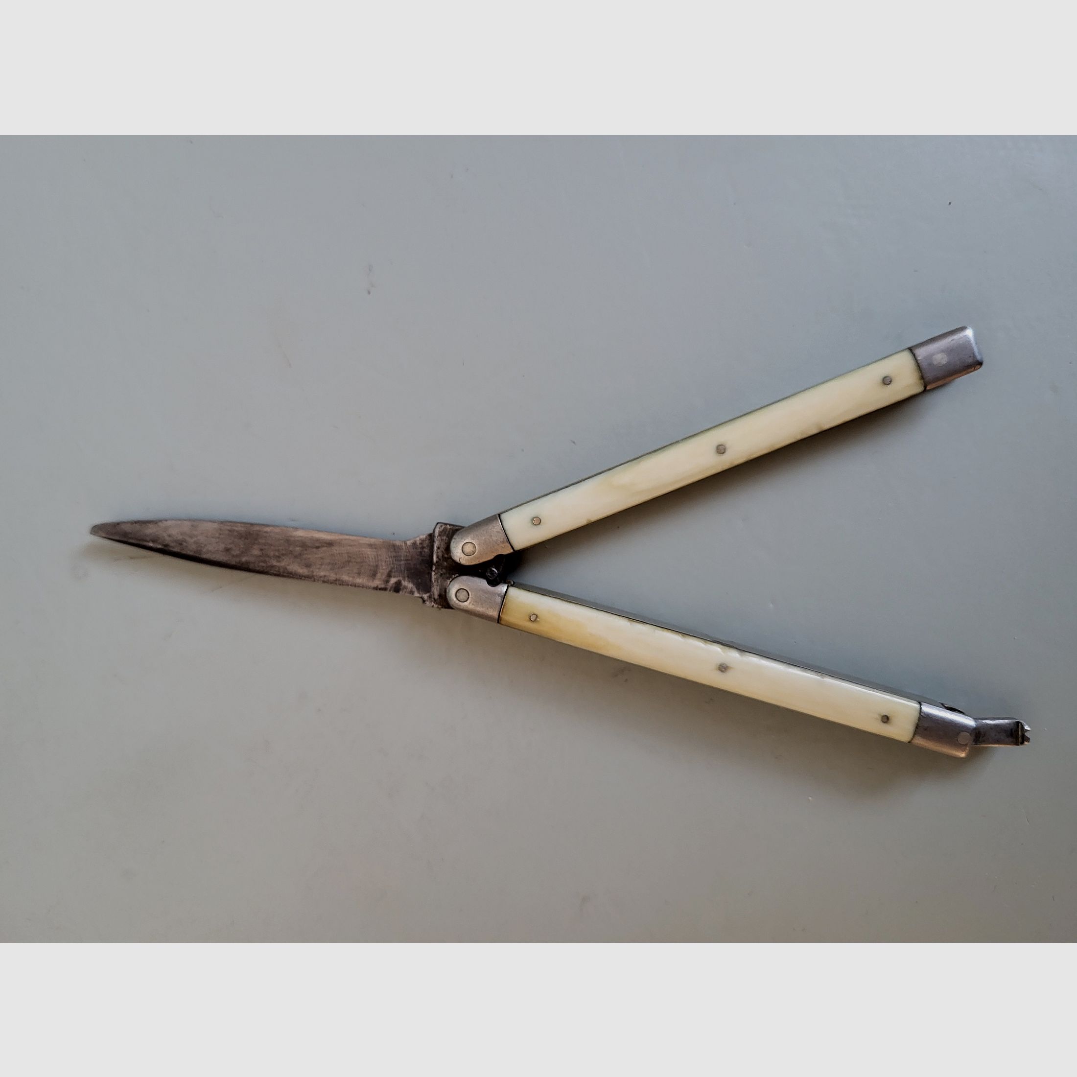 Antike Bonsa Böntgen & Sabin Solingen Taschenmesser - 1890er Jahre - Horn Griff