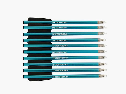 OSTRZE DO STRZAŁÓW TRENINGOWYCH STEAMBOW AR-6 STINGER 2