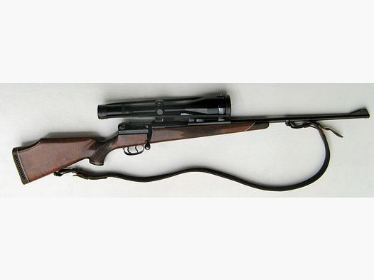 MAUSER OBERNDORF M 66