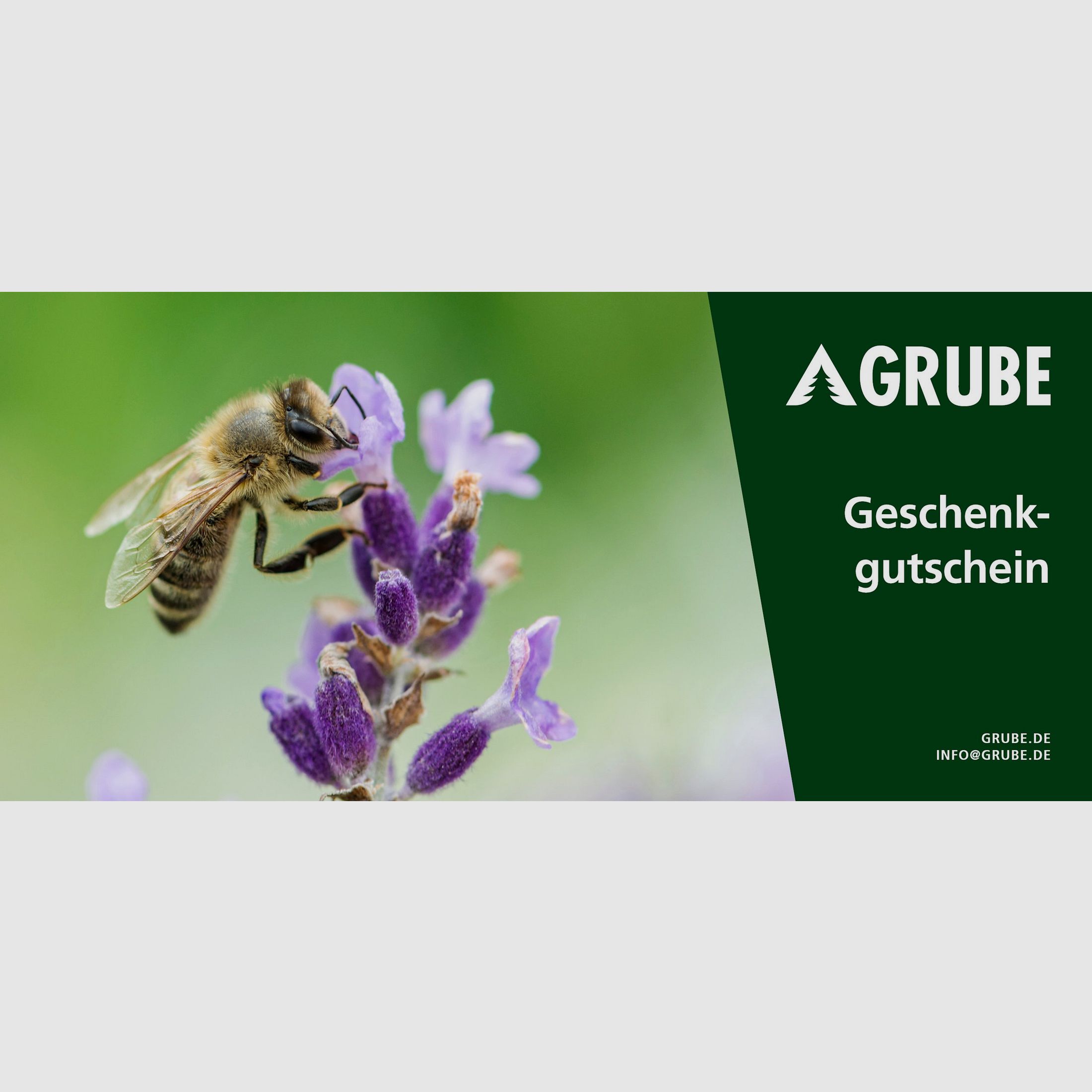 Geschenkgutschein