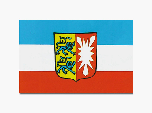 Diverse Flagge Schleswig-Holstein