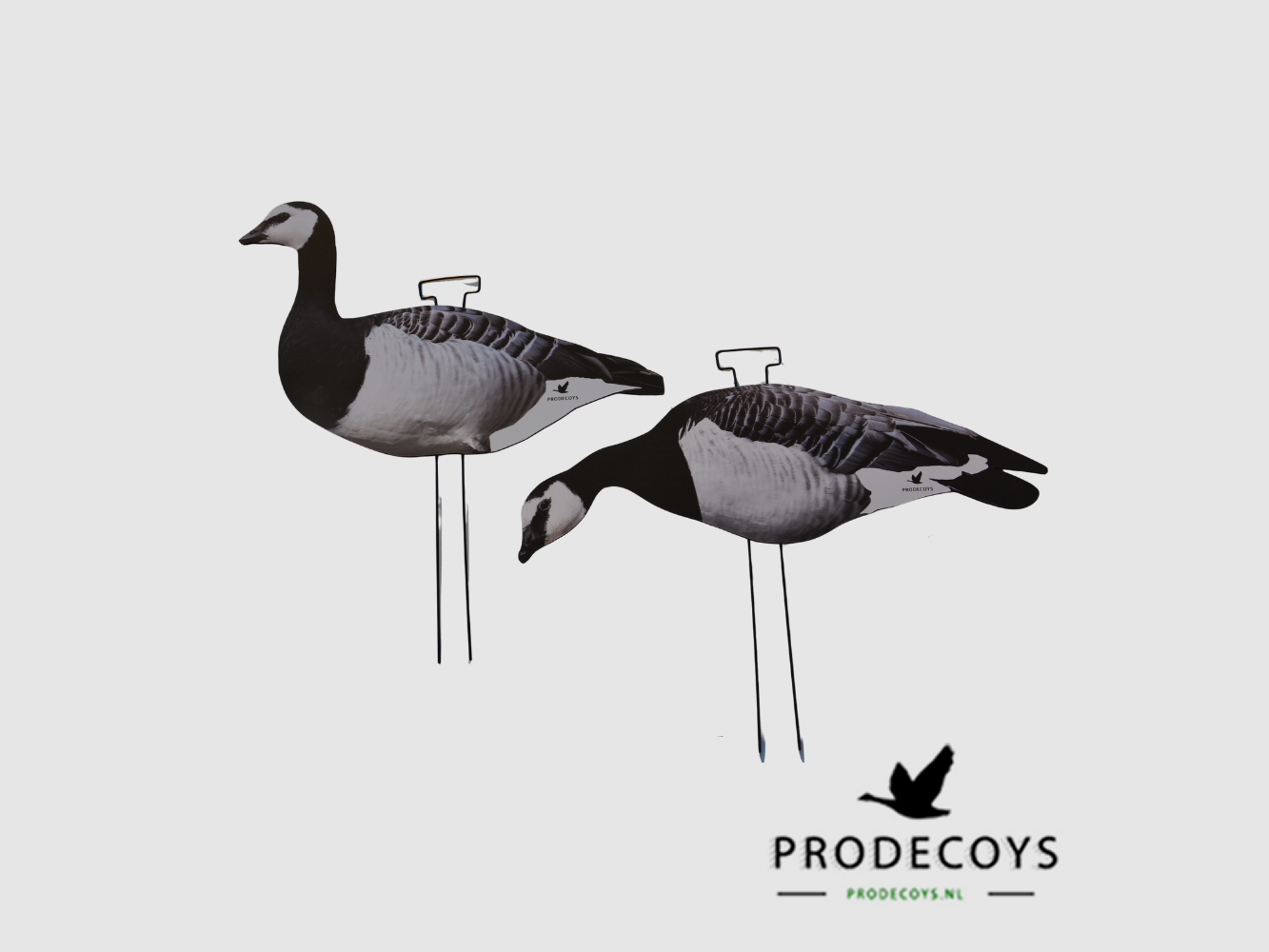 Prodecoys richiami sagomati per oche facciabianca – 12 pz., immagine 1 di 4