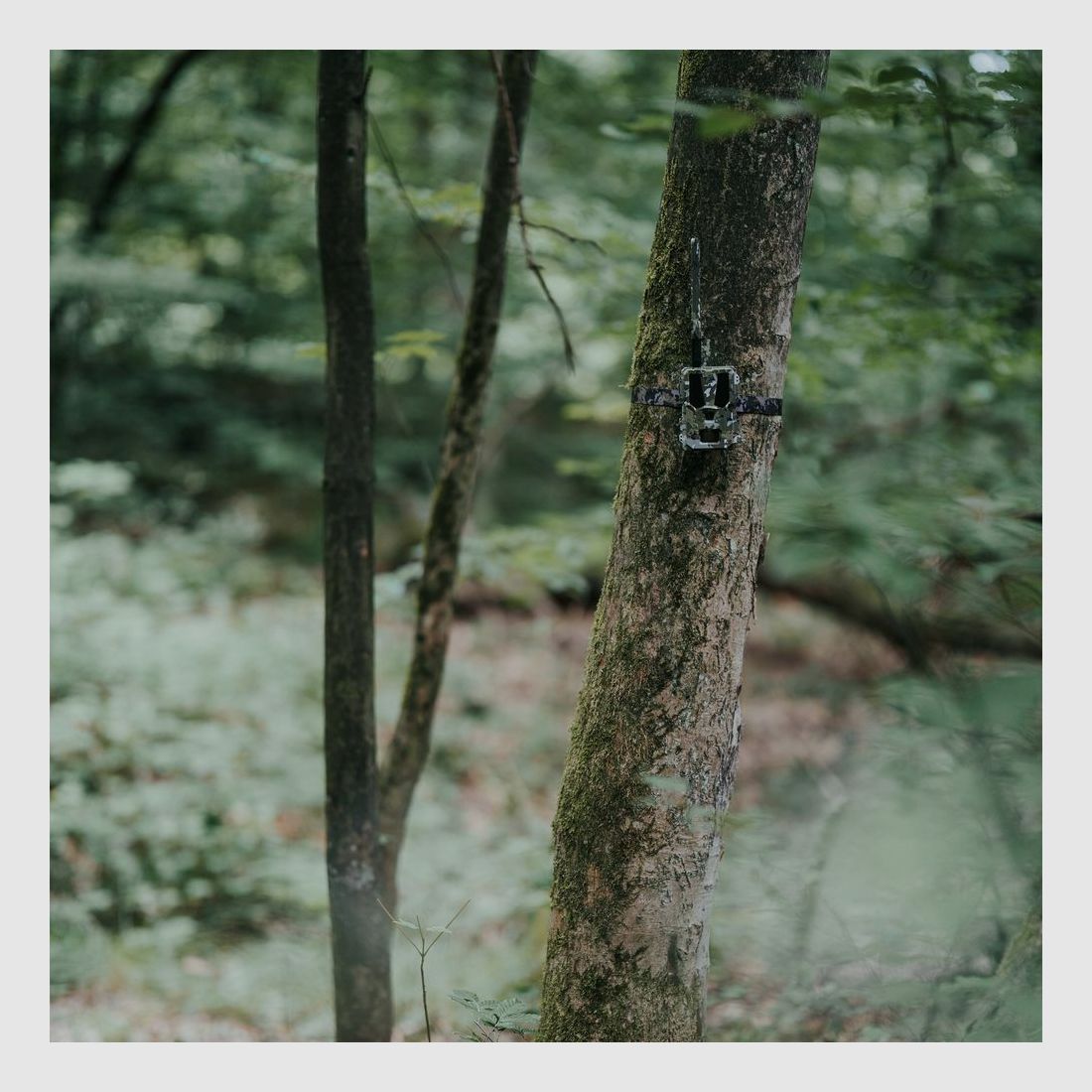 MODERNHUNTER Hunter 4G Mini Wildkamera