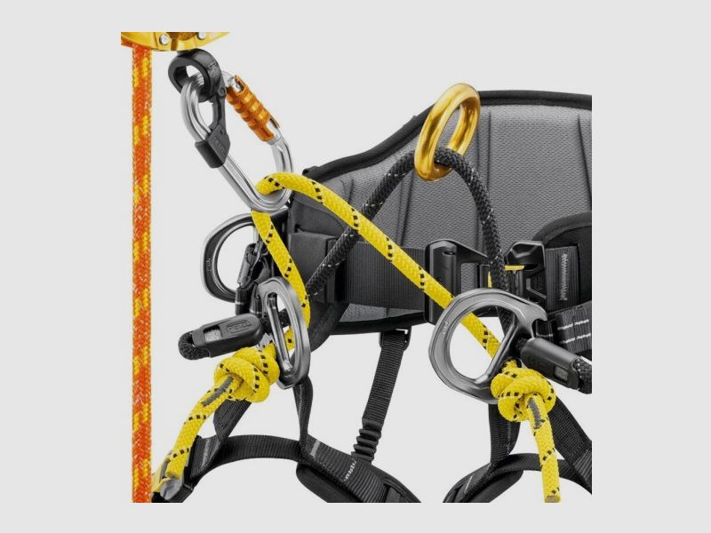 PETZL SEQUOIA | Imbracatura per Potatura, immagine 3 di 3