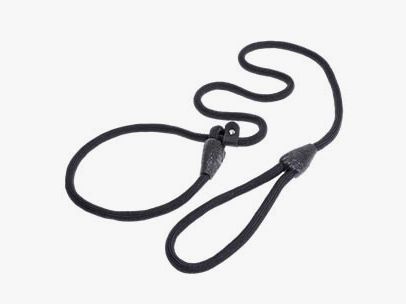 Allegro Agility Easy laisse pour chien
