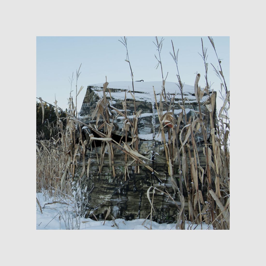 Double Bull SurroundView Double Wide Truth Camo, Box, Bild 15 von 18