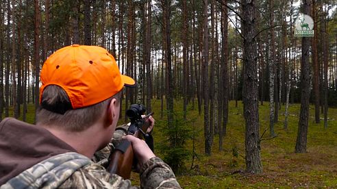 Driven Hunt in Poland / Drivjagt I Polen / Chasse en battue / Druckjagd