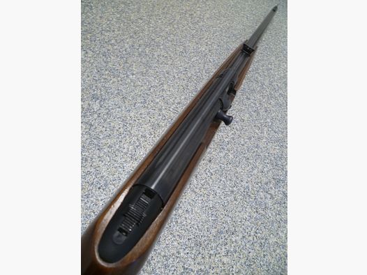 Selbstladebüchse Anschütz - Savage Modell 6P-M .22lr