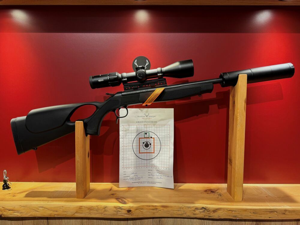 Bergara BA13