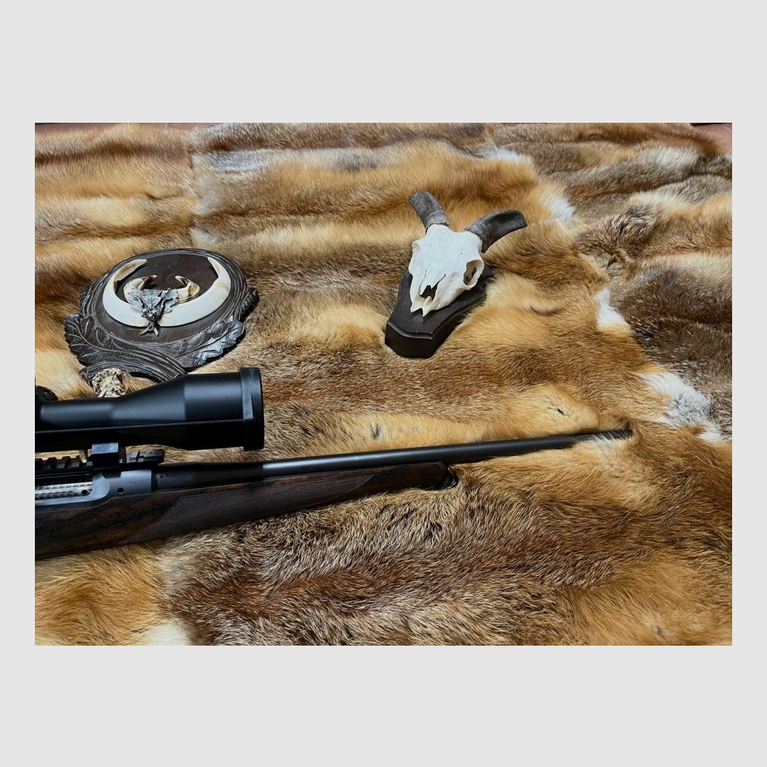 Sauer 101 Select