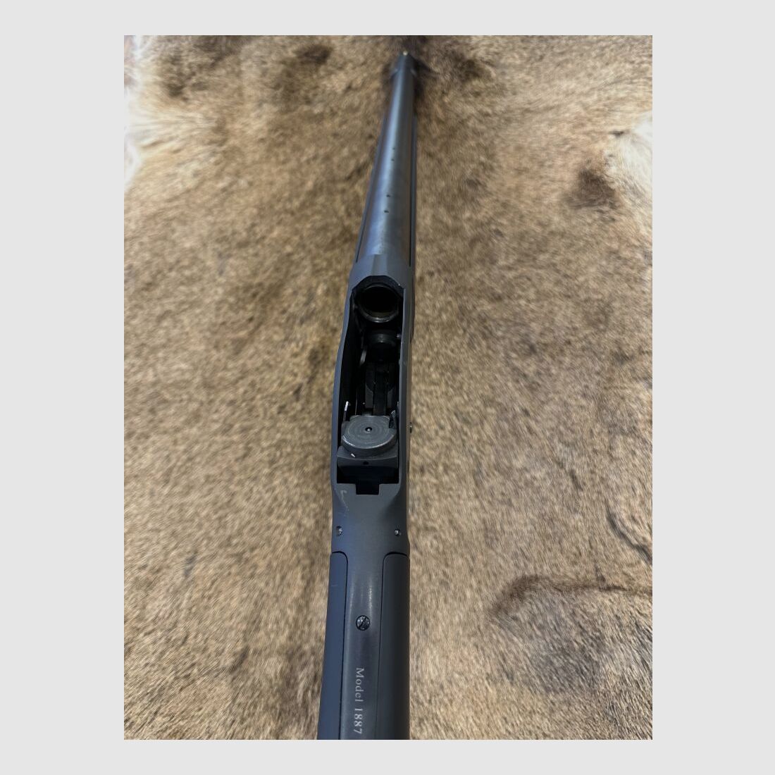 Chiappa 1887 T-Model, Bild 3 von 4