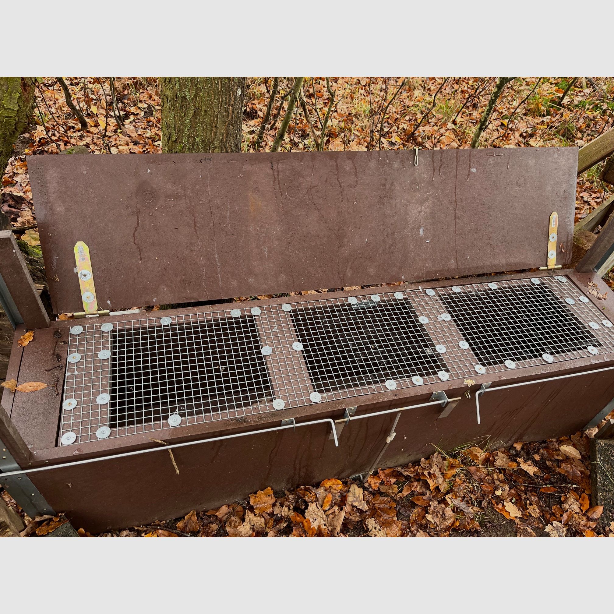 Kastenfalle (Trapper-Box)