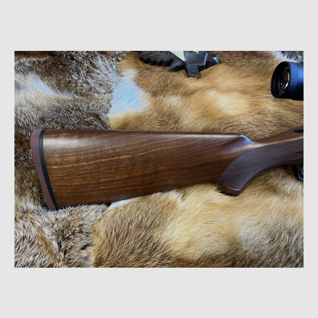 Ruger 77