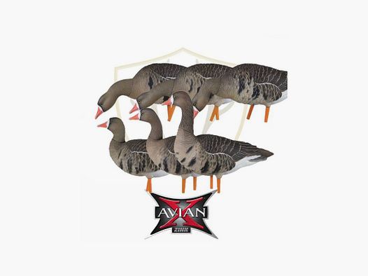 KIT Formen Avian-X Gans Lombardella Full Body 9014