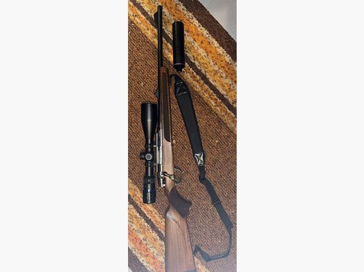 Brenner BR 20 . 308 Win, + SDFritz45 + Falke 3-12*56