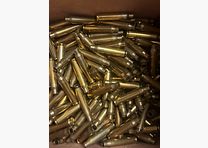 Primed 223 cases from MEN 381 pieces