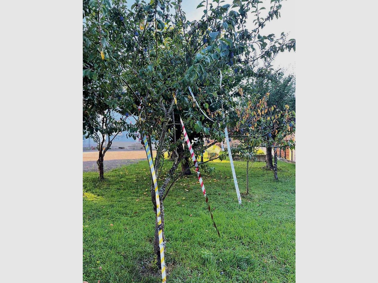 Reflektierendes Vogelschreckband