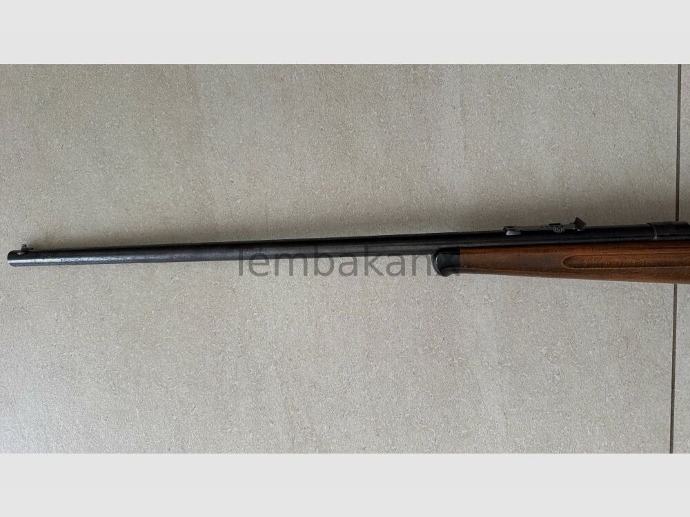 Anschütz .22lr