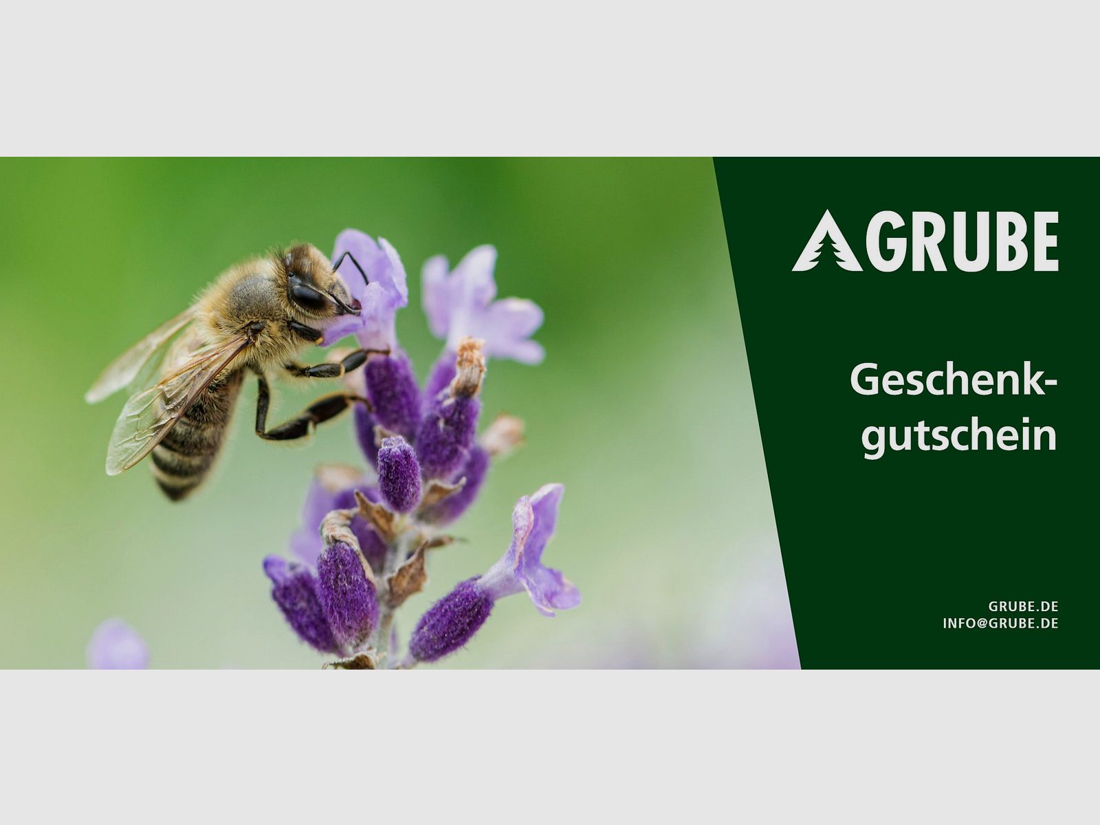 Geschenkgutschein