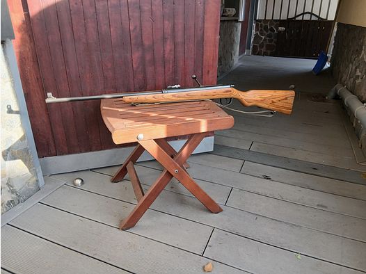 Modelo deportivo Haenel 49A