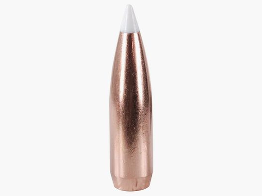 Bala Nosler Accubond .30/.308 165GR Spitzer 50 piezas