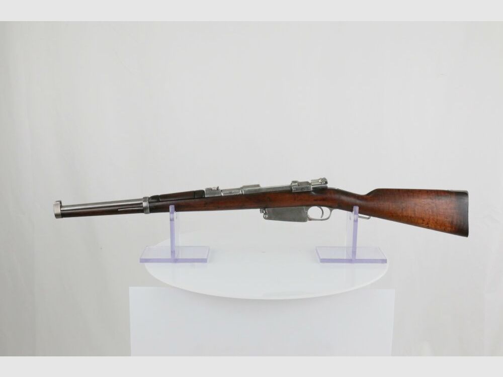 Mauser 1891 Argentinien