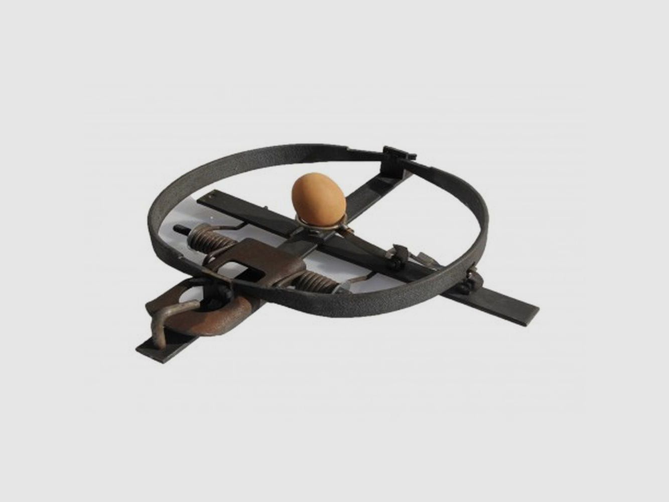 Piège à Oeuf 25cm - Dispositif Durable et Efficace - Protection et Capture Sécurisée, image 4 sur 4