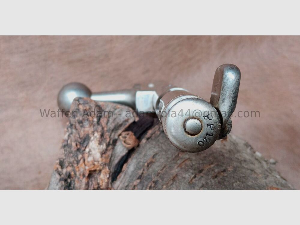 Steyr Kropatschek 1889